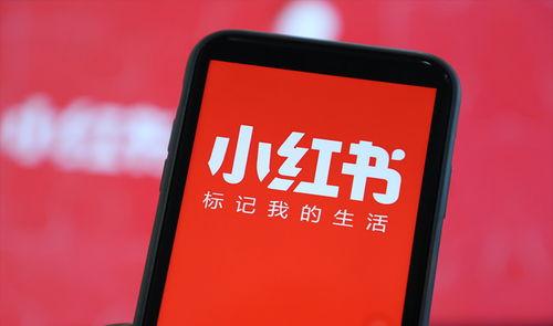 小红书爆料真名大全最新,真名大全大公开！